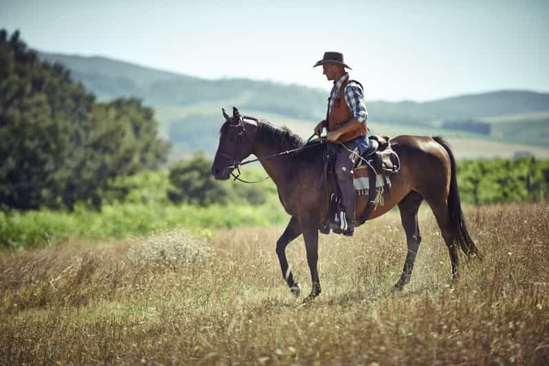 Agadir: Forest and Sand Dunes Guided Horse Riding - Riding beneath Agadir’s eucalyptus trees