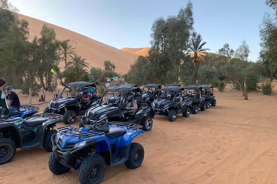 Agadir: Half-Day Desert Dunes Buggy Safari - The 1.5-hour buggy route through forest and dunes