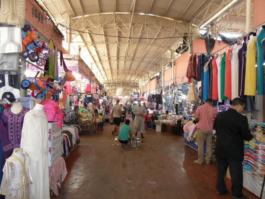 Agadir: Half-Day Guided Tour - Key points to know before booking