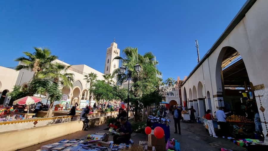Agadir: Half-Day Guided Tour - Guides, languages, and the feel of the ride