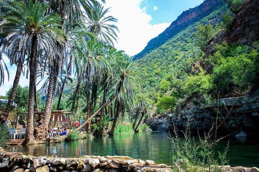 Agadir :Half day Paradise Valley & Atlas Mountains Tour - Practical verdict on Paradise Valley