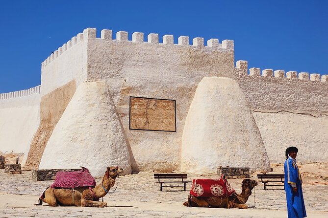 Agadir Half-Day Tour - Why this half-day tour works well in Agadir