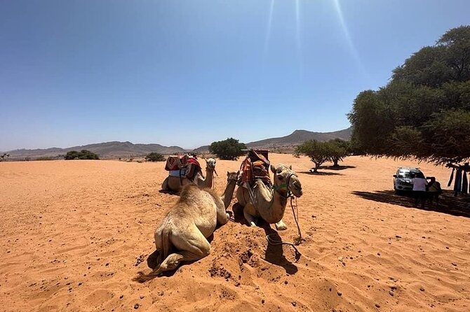 Agadir Jeep Safari Sahara Desert 4x4 Day Tour with Lunch - The quiet Atlantic edge at Sidi R’bat
