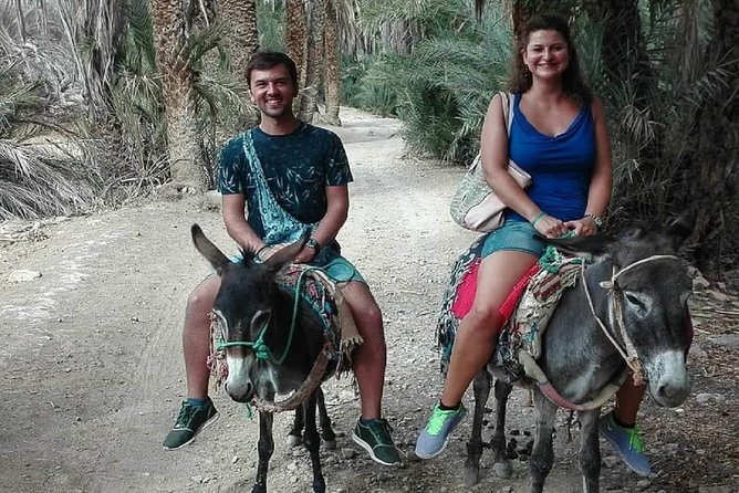 Agadir Morocco: Day Trip To Taroudant & Tiout Oasis with Lunch - Key details before you leave Agadir