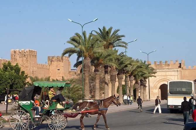 Agadir Morocco: Day Trip To Taroudant & Tiout Oasis with Lunch - Lunch in Tiout, with tajine, couscous, and mint tea