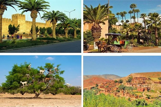 Agadir Morocco: Day Trip To Taroudant & Tiout Oasis with Lunch - The 8:30 a.m. pickup from Agadir