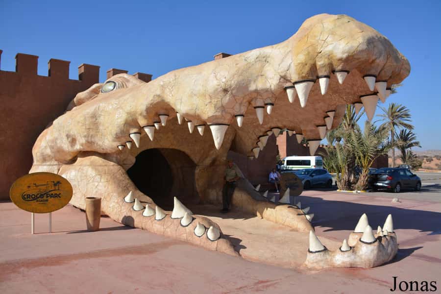 Agadir or Taghazout: Goat on Trees and Crocoparc with Pickup - Key points at a glance