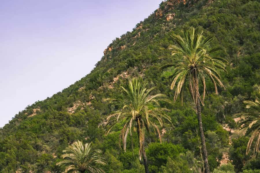 Agadir or Taghazout: Paradise Valley Atlas Mountain Trip - Why the $16 price is such a strong point