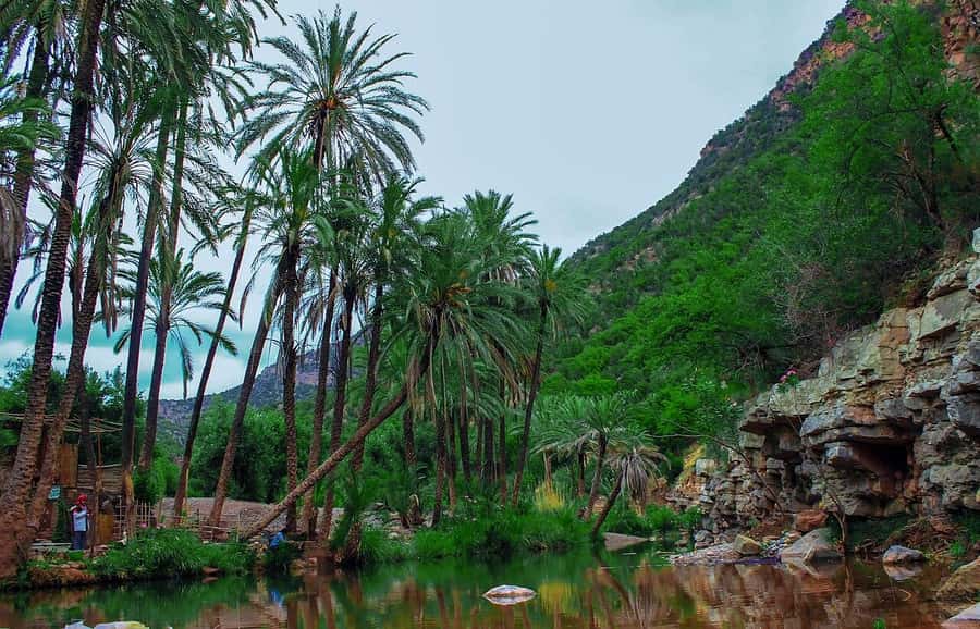 Agadir or Taghazout: Paradise Valley Atlas Mountain Trip - What the Berber villages and mountain road add