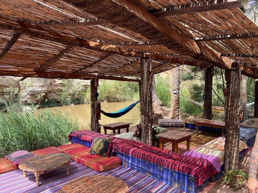 Agadir or Taghazout: Paradise Valley Atlas Mountains - A short stop at the botanic garden