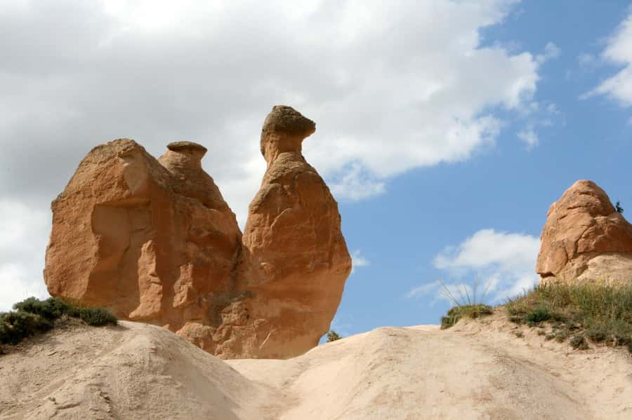 Agadir or Taghazout: Paradise Valley Atlas Mountains - Reaching the palms and water of Paradise Valley