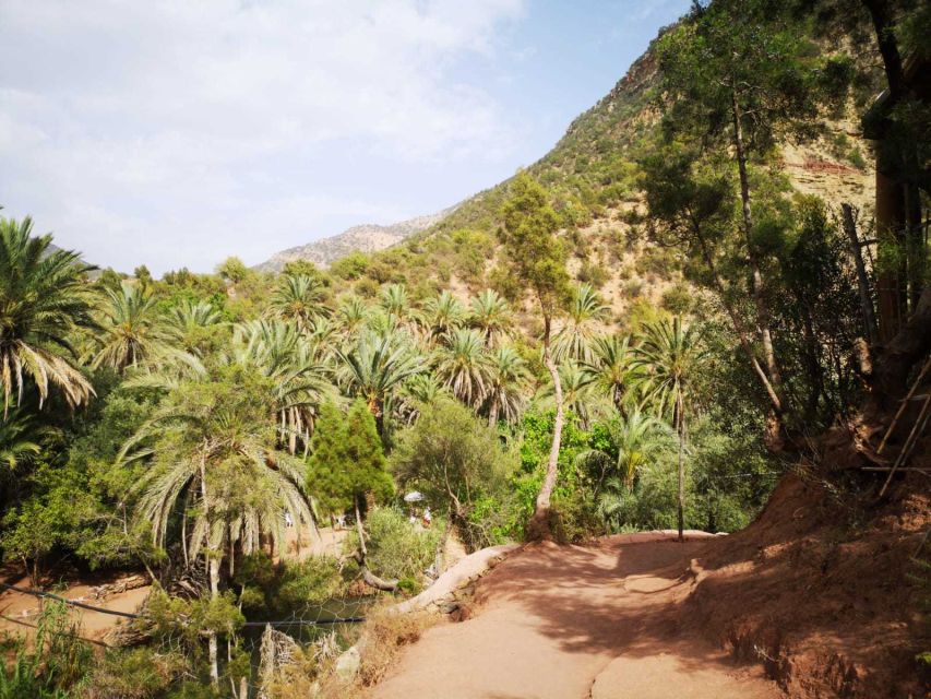 Agadir or Taghazout: Paradise Valley Atlas Mountains Tour - Who should book this outing?