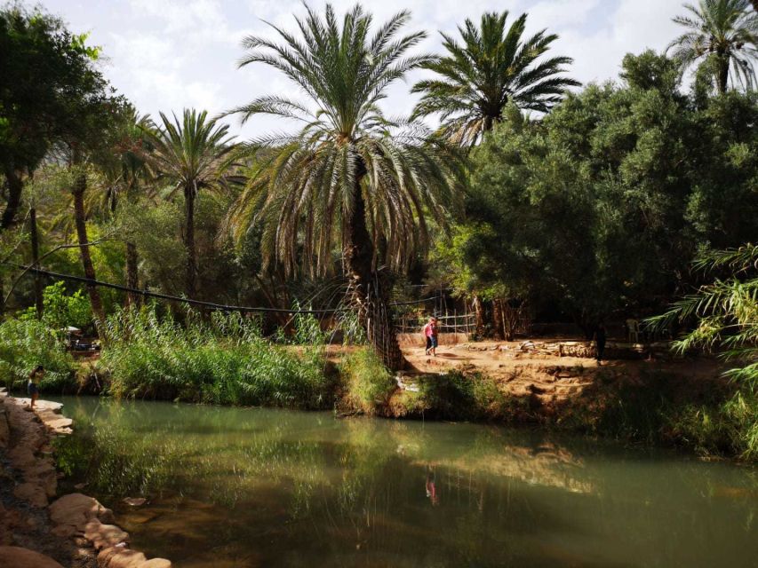 Agadir or Taghazout: Paradise Valley Atlas Mountains Tour - Swimming, rock jumps, and time beside the pools