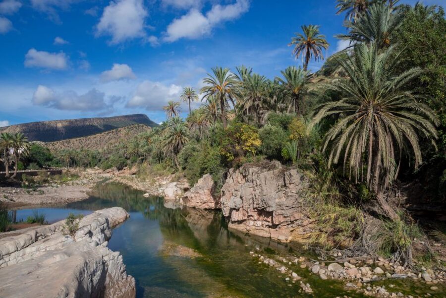 Agadir or Taghazout: Paradise Valley Atlas Mountains Tour - The return ride and guide quality