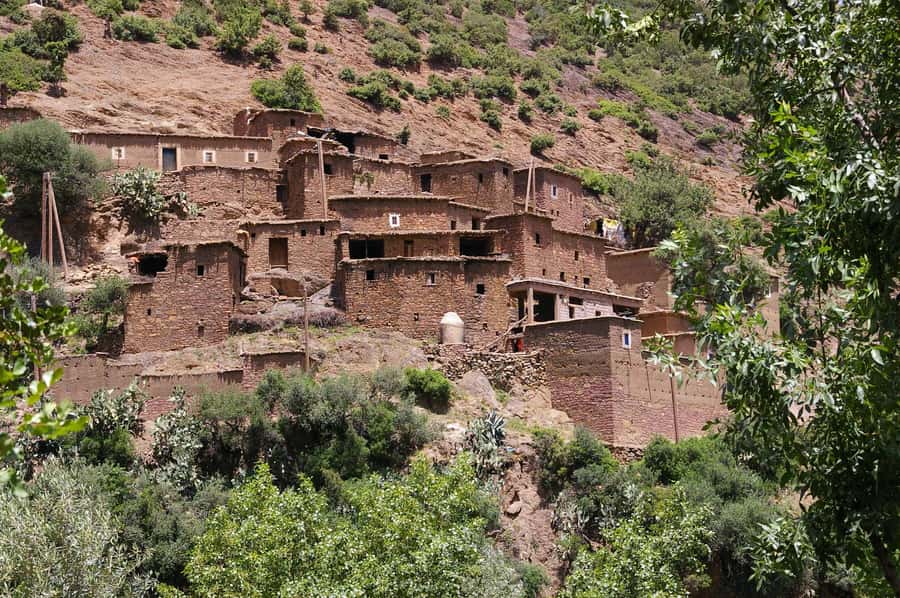 Agadir or Taghazout: Paradise Valley & Atlas Mountains Trip - The return walk and early afternoon drive