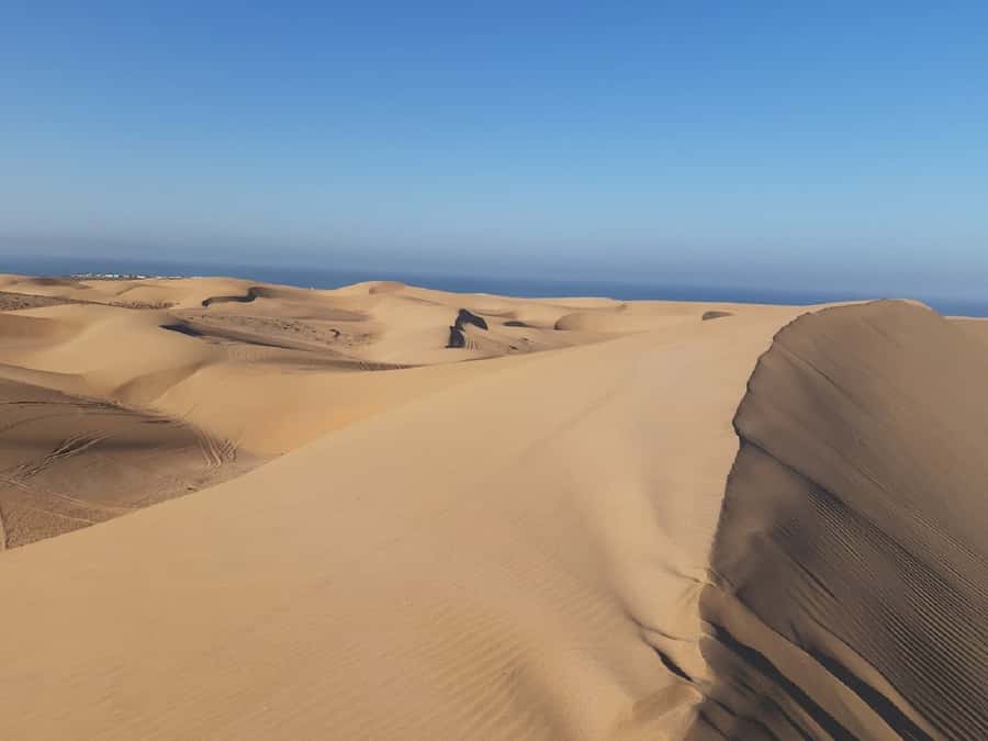 Agadir: Paradise Valley & Desert Sand Dunes with Camel Ride - Swimming, low water, and the fish-foot pool