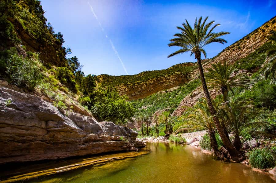Agadir: Paradise Valley & Desert Sand Dunes with Camel Ride - Timlalin’s dunes and the Atlantic sunset