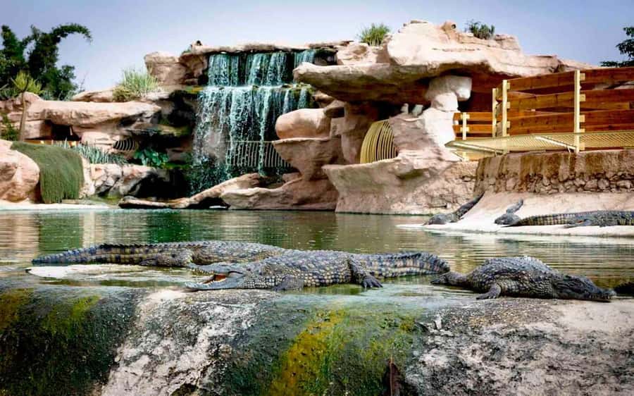 Agadir: Quad Safari with Crocoparc Optional - What this Agadir quad safari actually feels like