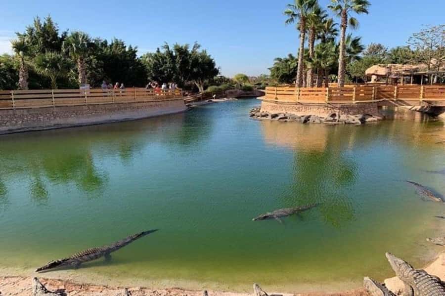 Agadir: Quad Safari with Crocoparc Optional - How the $29 price holds up