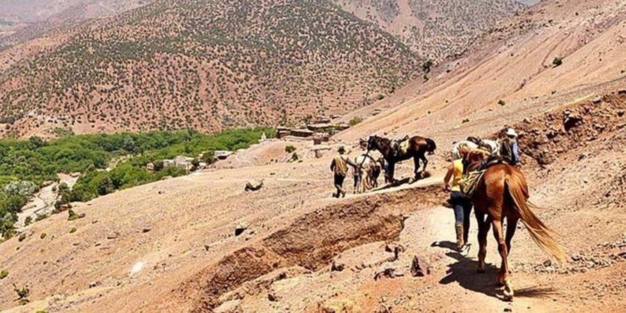 Agadir: Quad Safari with Crocoparc Optional - Who will enjoy this most