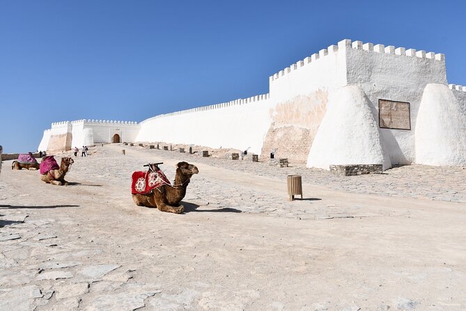 Agadir Sightseeing & Medina Polizzi Discovery - The guide makes or breaks the experience