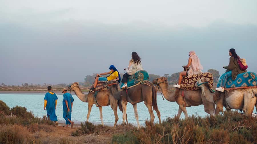 Agadir/Taghazout: Camel Ride with Tea Drink and Transfers - The camel itself is part of the lesson