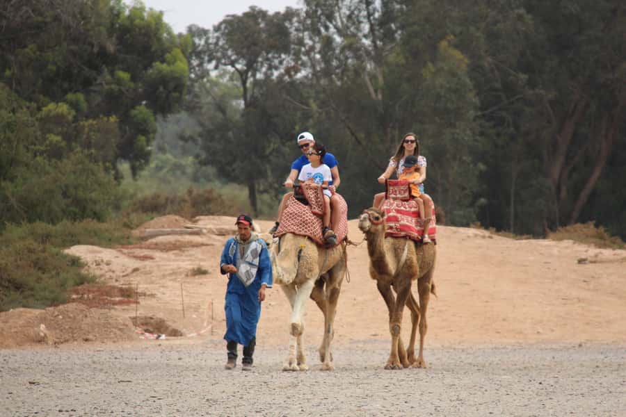 Agadir/Taghazout: Camel Ride with Tea Drink and Transfers - Mint tea gives the outing a proper Moroccan finish