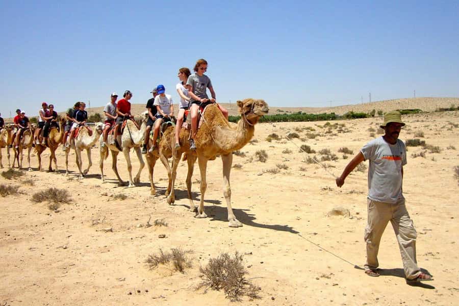 Agadir/Taghazout: Camel Ride with Tea Drink and Transfers - Is $21 good value?