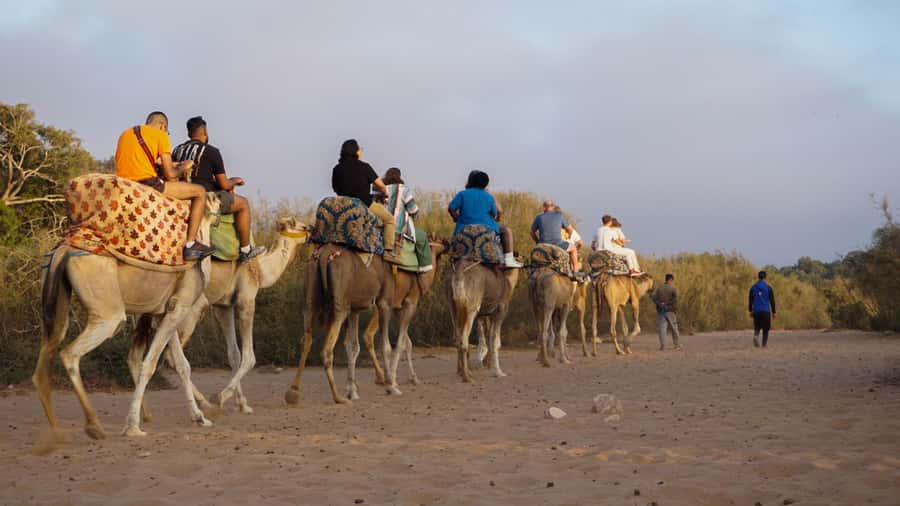 Agadir/Taghazout: Camel Ride with Tea Drink and Transfers - Who will enjoy this most?