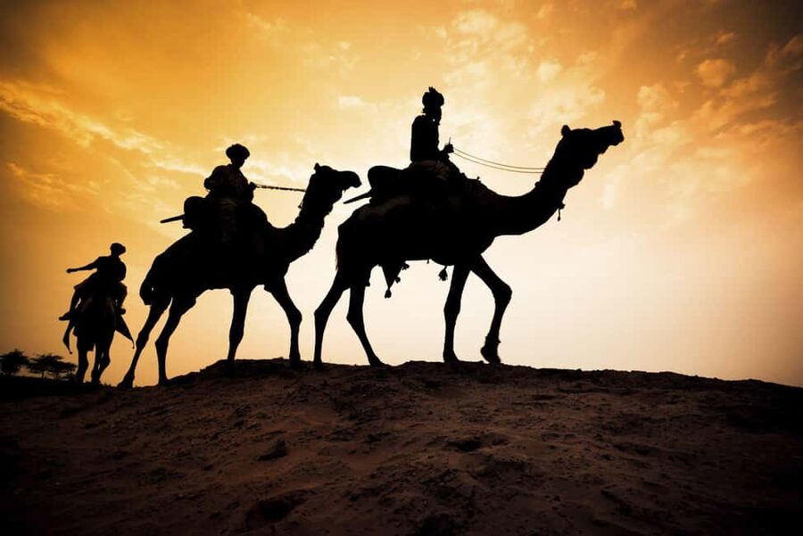 Agadir/Taghazout: Camel Rides with Tea Drink and Transfers - Languages, flexibility, and cancellation