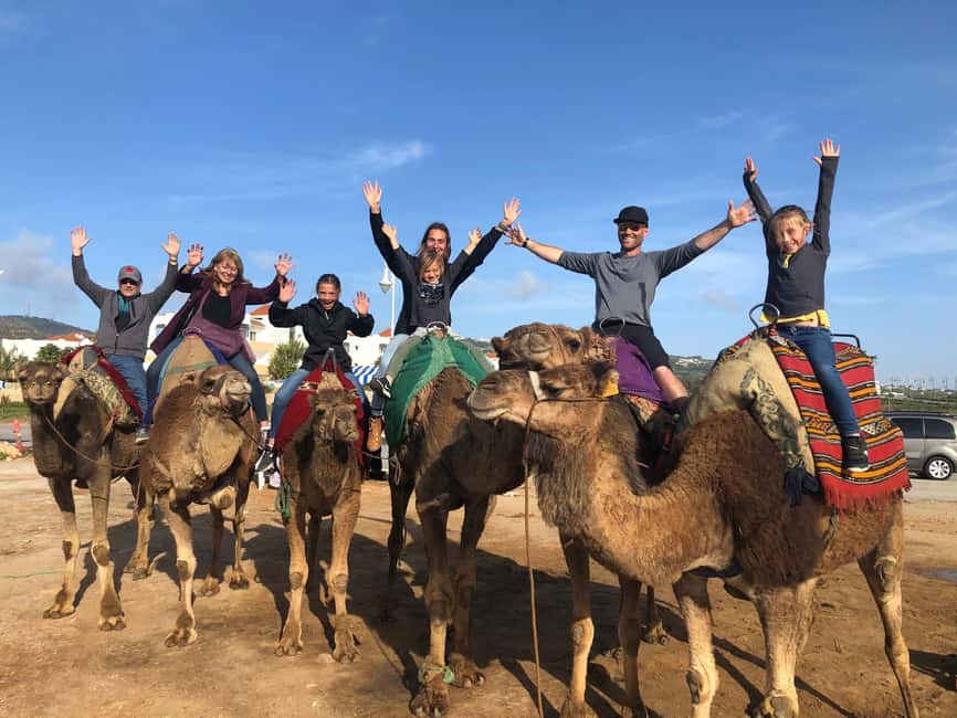 Agadir/Taghazout: Camel Rides with Tea Drink and Transfers - A slow ride through Agadir’s open spaces