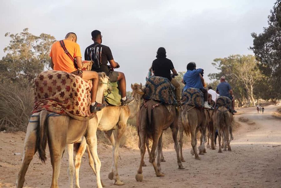 Agadir/Taghazout: Camel Rides with Tea Drink and Transfers - The route toward the river and beach