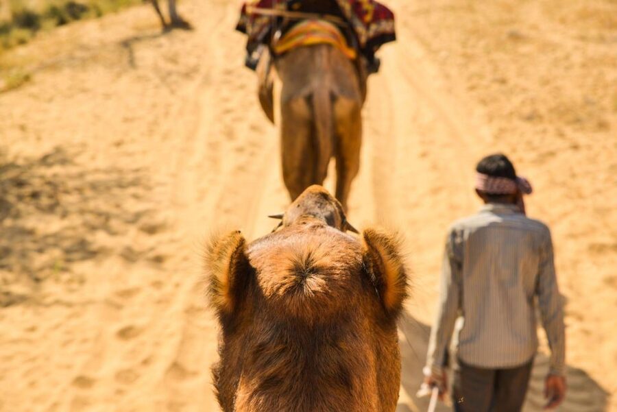 Agadir/Taghazout: Camel Rides with Tea Drink and Transfers - Mint tea and biscuits after the ride