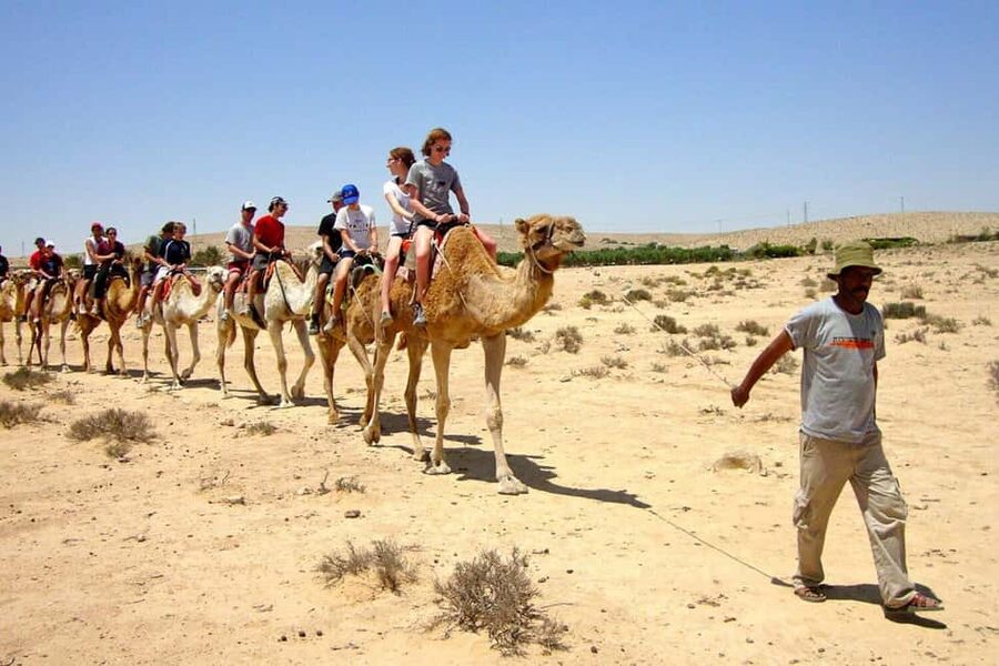 Agadir/Taghazout: Camel Rides with Tea Drink and Transfers - How much time should you allow?