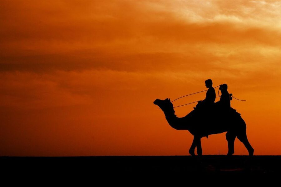 Agadir/Taghazout: Camel Rides with Tea Drink and Transfers - Is $22 good value?