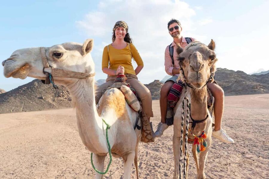 Agadir/Taghazout: Camel Rides with Tea Drink and Transfers - Who will enjoy this camel ride most?