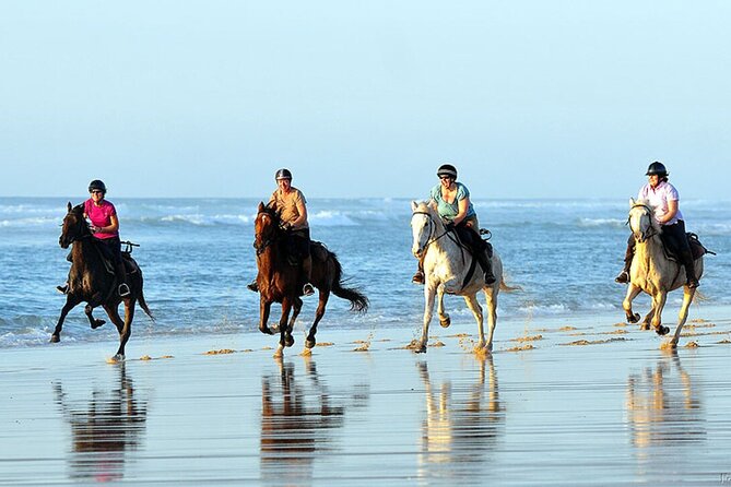 Agadir/Taghazout Horse Ride on the beach - From the ranch to the Atlantic beach