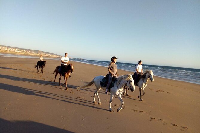 Agadir/Taghazout Horse Ride on the beach - Pickup from Agadir or Taghazout