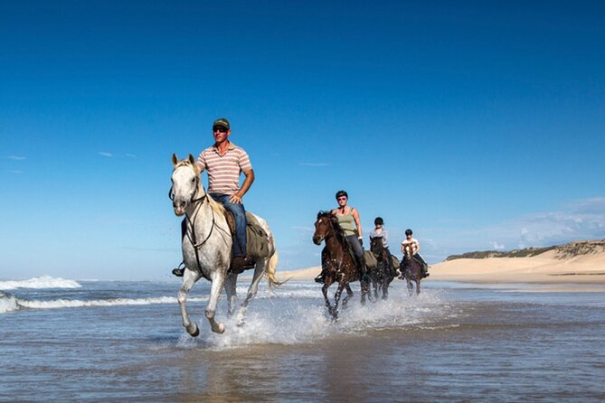 Agadir/Taghazout Horse Ride on the beach - Small drawbacks worth knowing