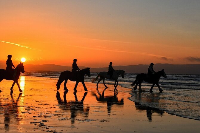 Agadir/Taghazout Horse Ride on the beach - Calm horses and careful guides