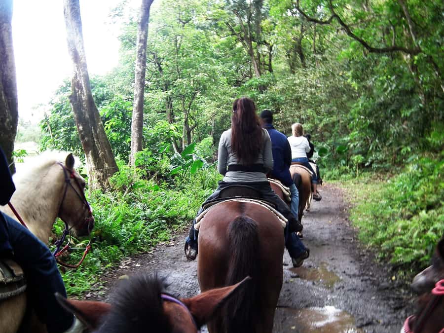 Agadir/Taghazout: Horse Rides Experience With Transfers - Key points before you book