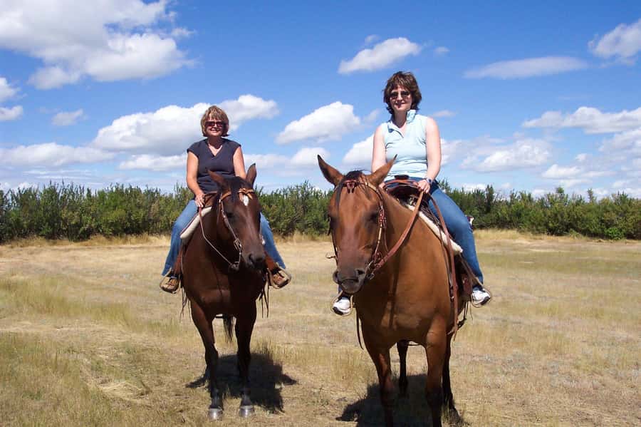 Agadir/Taghazout: Horse Rides Experience With Transfers - The faster section for confident riders