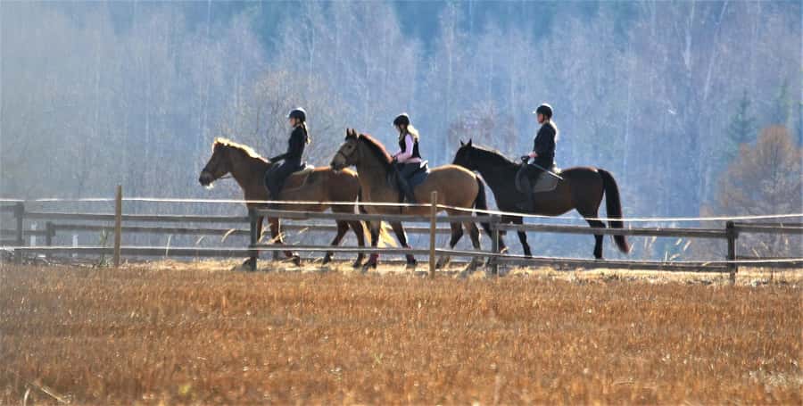 Agadir/Taghazout: Horse Rides Experience With Transfers - How the guide shapes the experience