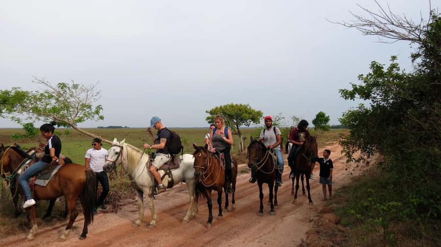 Agadir/Taghazout: Horse Rides Experience With Transfers - Who will enjoy this most