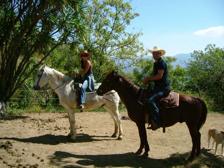 Agadir/Taghazout: Horse Rides Experience With Transfers - The transfer from Agadir or Taghazout