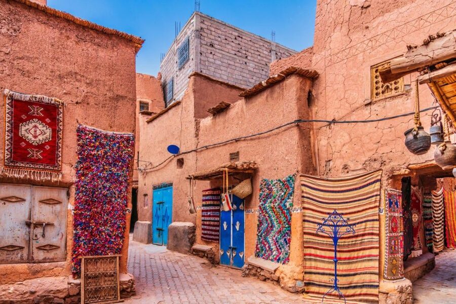 Agadir/Taghazout: Marrakech Trip with Licensed Tour Guide - Who should book this Marrakech day trip?