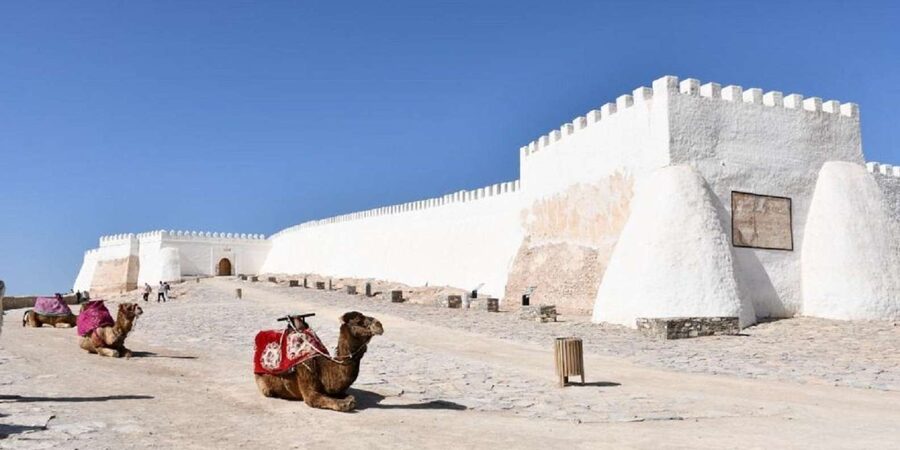 Agadir/Taghazout: Old Medina of Coco Polizzi and Agadir Tour - Guides, languages, and the ride between stops