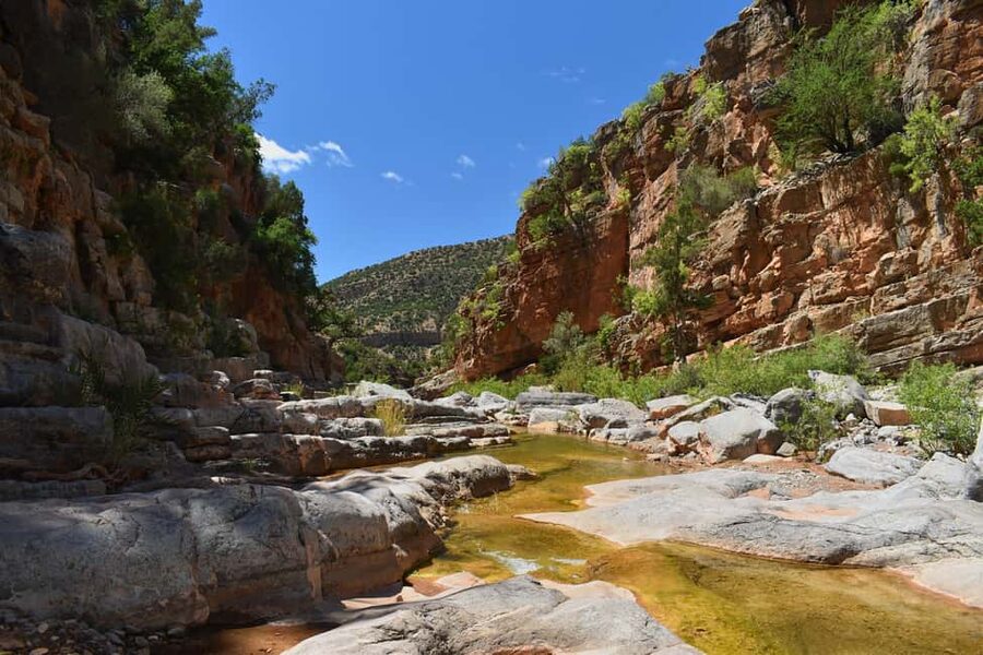 Agadir/Taghazout: Paradise Valley Atlas Mountains Trip - Who should book this Agadir excursion?