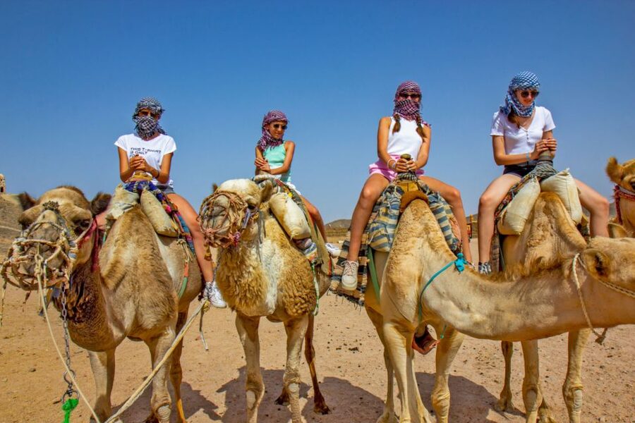 Agadir/Taghazout/Port: Camel Ride Tea & BBQ Option - Key points to know before you book