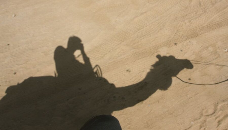 Agadir/Taghazout/Port: Camel Ride Tea & BBQ Option - Reaching the Oued Sous and watching for flamingos